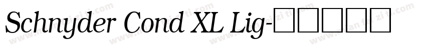 Schnyder Cond XL Lig字体转换